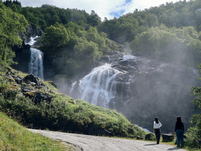 NORVEGE #26